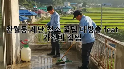 완월동 계단 청소🧹✨ 꿀팁 대방출! (feat. 가성비 갑템)