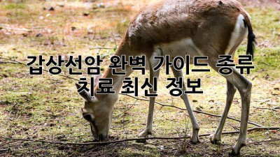갑상선암 완벽 가이드: 종류, 치료, 최신 정보